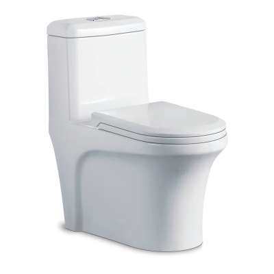 HHSN bathrooms ceramic siphon toilet