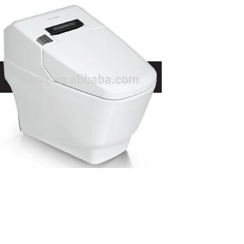 HHSN smart toilet