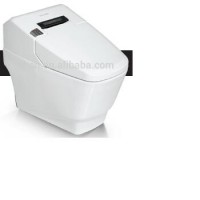 HHSN smart toilet