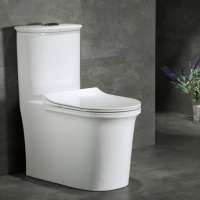 japan enema ce prefab toilette twyford wc up flush toilets manufacturer